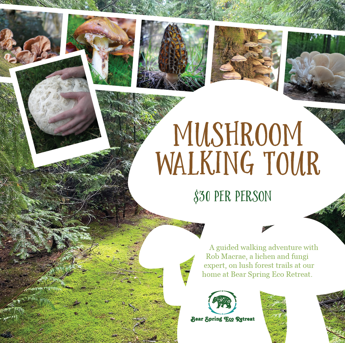 Mushroom Walking Tours