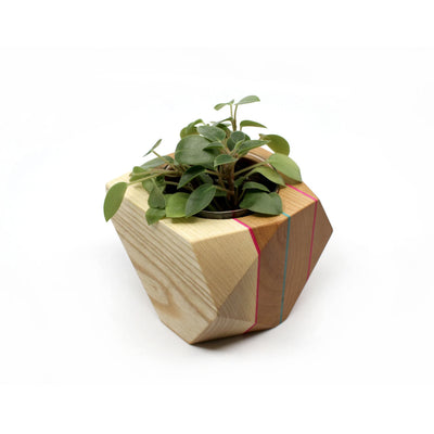 Planter made from recycled skateboards