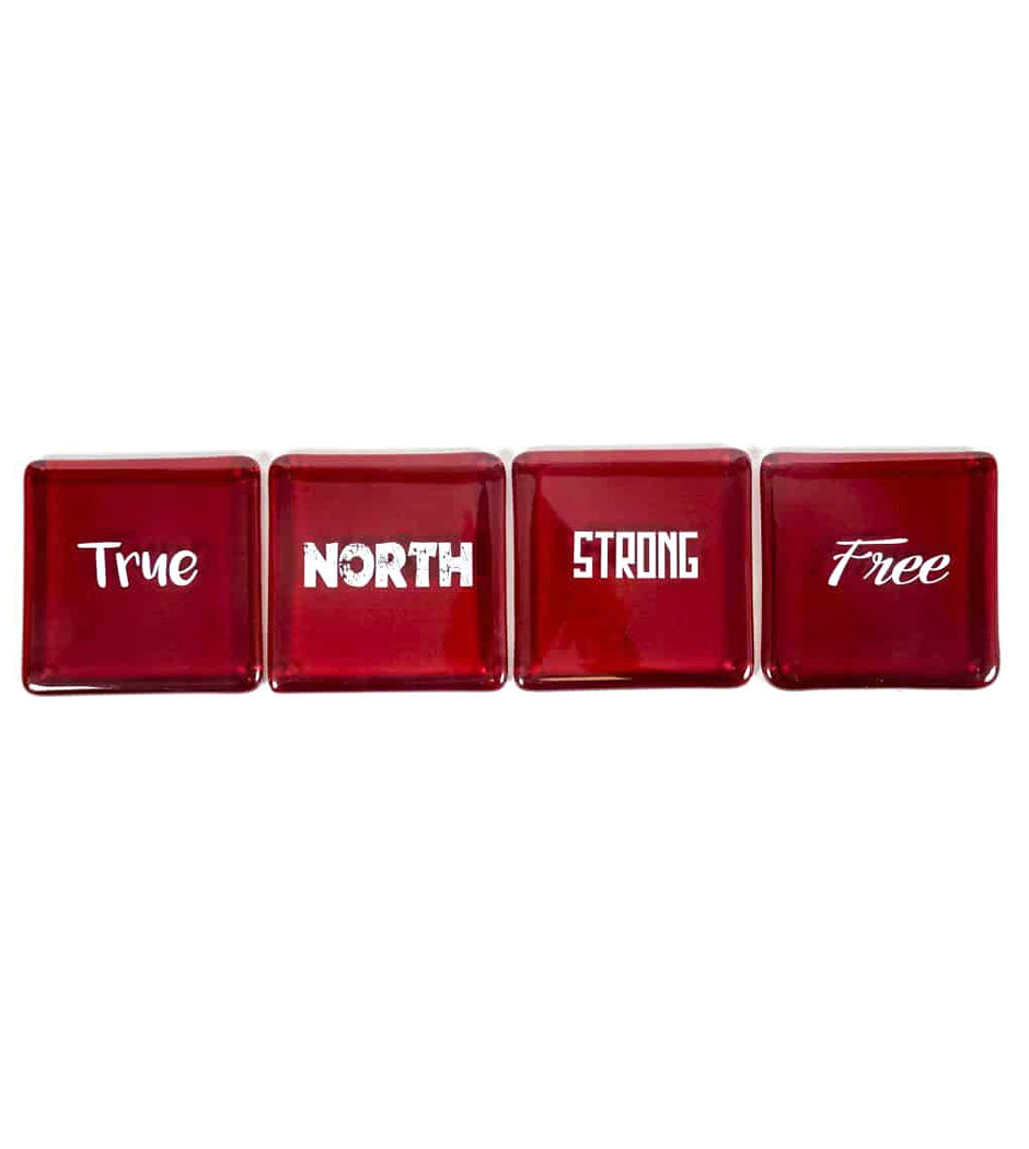 recycled glass coaster set - true north
